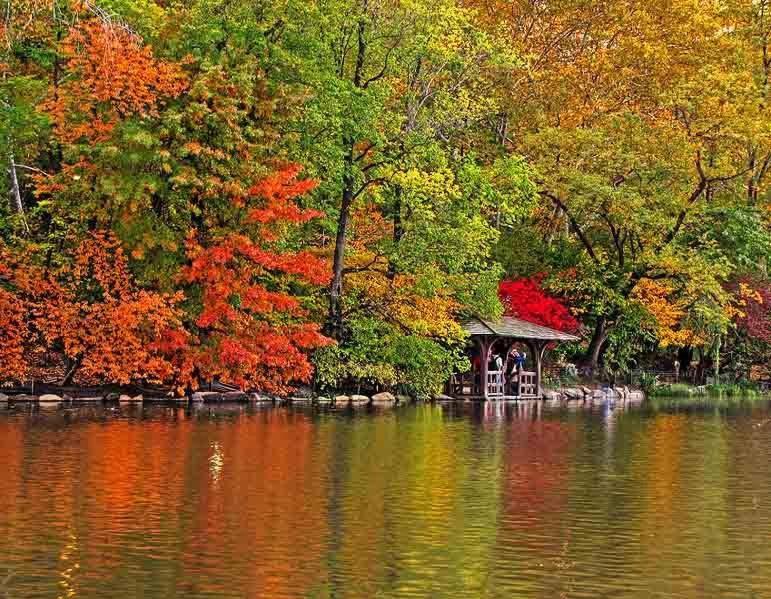 Central Park Bukares Ruang foto