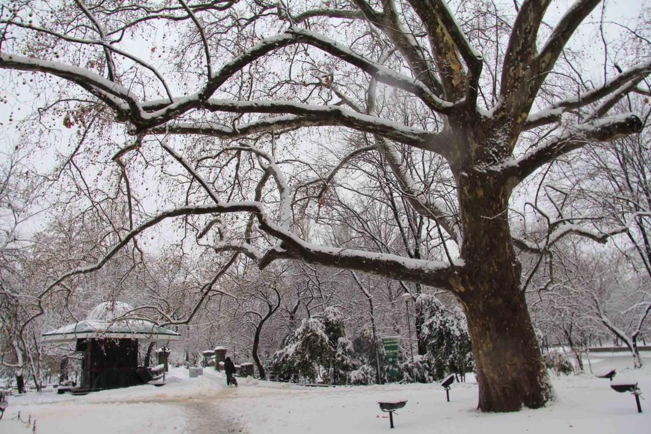 Central Park Bukares Bagian luar foto