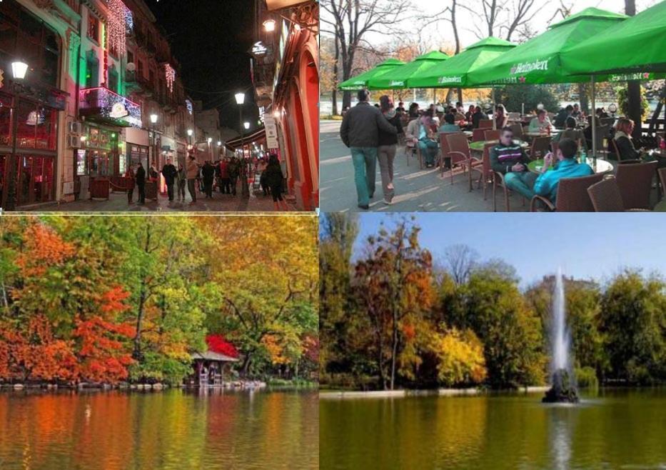 Central Park Bukares Ruang foto